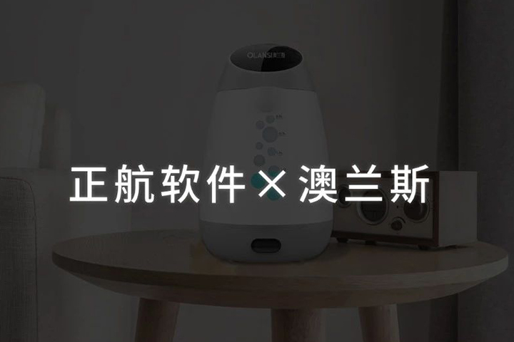 澳兰斯&正航软件信息化项目启动大会顺利召开